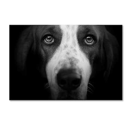 Lori Hutchison 'Basset Hound' Canvas Art,30x47